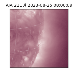 saia - 2023-08-25T08:00:09.626000