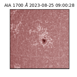 saia - 2023-08-25T09:00:28.449000