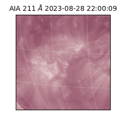 saia - 2023-08-28T22:00:09.632000