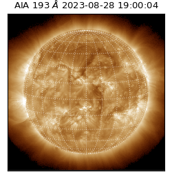 saia - 2023-08-28T19:00:04.843000