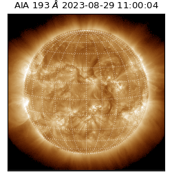 saia - 2023-08-29T11:00:04.843000