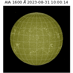 saia - 2023-08-31T10:00:14.132000