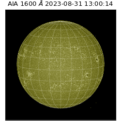 saia - 2023-08-31T13:00:14.133000