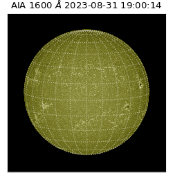 saia - 2023-08-31T19:00:14.132000