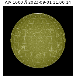 saia - 2023-09-01T11:00:14.126000