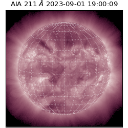 saia - 2023-09-01T19:00:09.626000