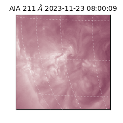 saia - 2023-11-23T08:00:09.622000