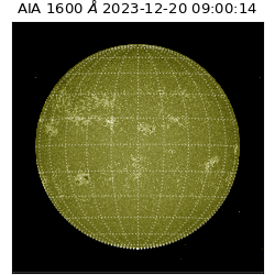 saia - 2023-12-20T09:00:14.125000