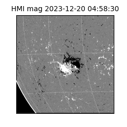 shmi - 2023-12-20T04:58:30