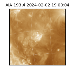 saia - 2024-02-02T19:00:04.843000