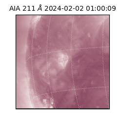 saia - 2024-02-02T01:00:09.623000