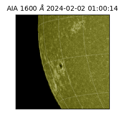 saia - 2024-02-02T01:00:14.126000