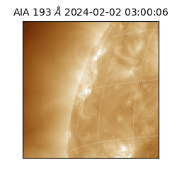 saia - 2024-02-02T03:00:06.650000