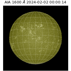 saia - 2024-02-02T00:00:14.125000