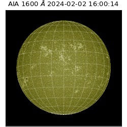 saia - 2024-02-02T16:00:14.126000