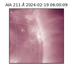 saia - 2024-02-19T06:00:09.626000