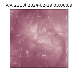 saia - 2024-02-19T03:00:09.626000