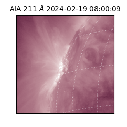 saia - 2024-02-19T08:00:09.626000