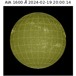 saia - 2024-02-19T20:00:14.125000