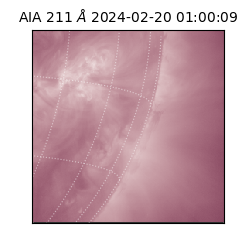 saia - 2024-02-20T01:00:09.630000