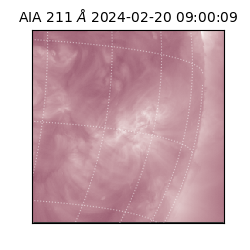 saia - 2024-02-20T09:00:09.630000