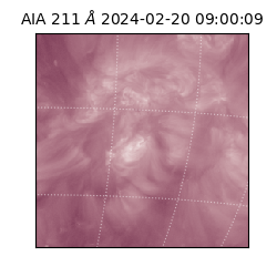 saia - 2024-02-20T09:00:09.630000