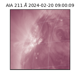 saia - 2024-02-20T09:00:09.630000