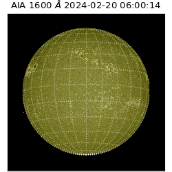 saia - 2024-02-20T06:00:14.129000