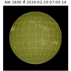 saia - 2024-02-20T07:00:14.126000