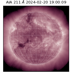 saia - 2024-02-20T19:00:09.623000