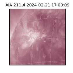 saia - 2024-02-21T17:00:09.626000