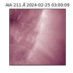 saia - 2024-02-25T03:00:09.626000