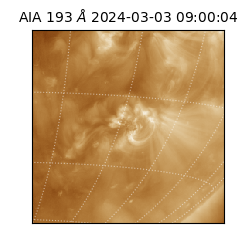 saia - 2024-03-03T09:00:04.843000