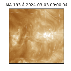 saia - 2024-03-03T09:00:04.843000