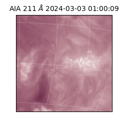 saia - 2024-03-03T01:00:09.618000