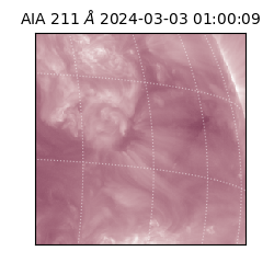 saia - 2024-03-03T01:00:09.618000