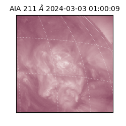 saia - 2024-03-03T01:00:09.618000