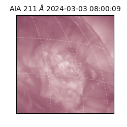 saia - 2024-03-03T08:00:09.630000