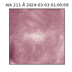 saia - 2024-03-03T01:00:09.618000