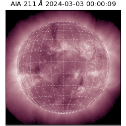 saia - 2024-03-03T00:00:09.618000