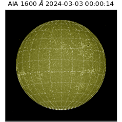 saia - 2024-03-03T00:00:14.118000