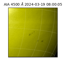 saia - 2024-03-19T08:00:05.962000