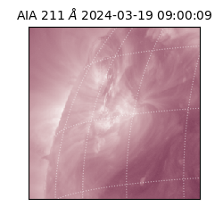 saia - 2024-03-19T09:00:09.626000