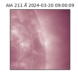 saia - 2024-03-20T09:00:09.626000