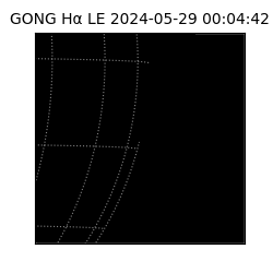 gong - 2024-05-29T00:04:42