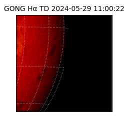 gong - 2024-05-29T11:00:22