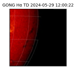 gong - 2024-05-29T12:00:22