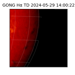 gong - 2024-05-29T14:00:22