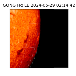 gong - 2024-05-29T02:14:42