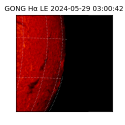 gong - 2024-05-29T03:00:42